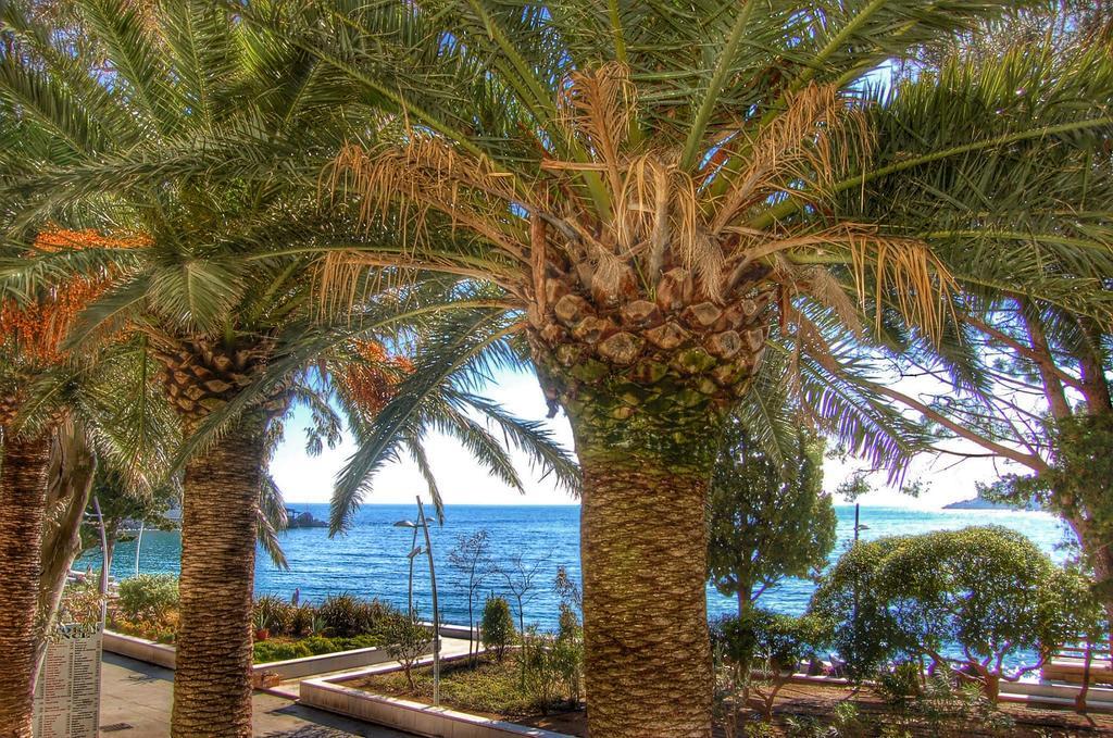Vasiliki Seaside Apartments Petrovac Buitenkant foto